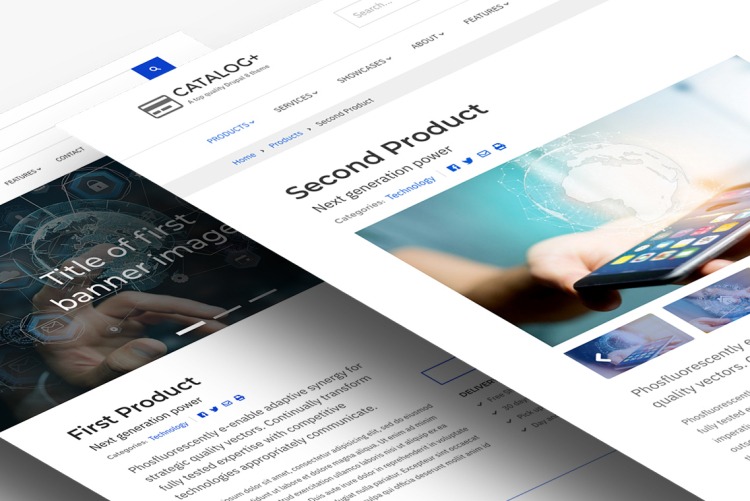 Save time & effort thanks to the special Content Types in Catalog+