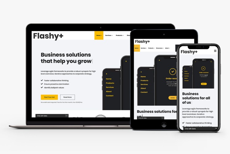 Flashy+ Business for Drupal 10 is part of the Flashy+ Family of theme distributions
