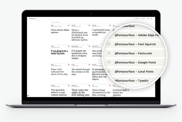 Support for any font from Google Fonts or premium font repositories